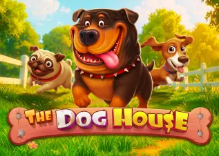 เว็บตรง pg The Dog House ทดลองเล่นฟรี